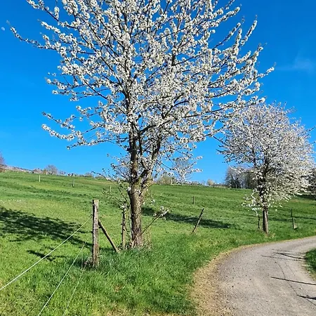 Rengerter Oase Διαμέρισμα Neunkirchen (Neunkirchen-Seelscheid)