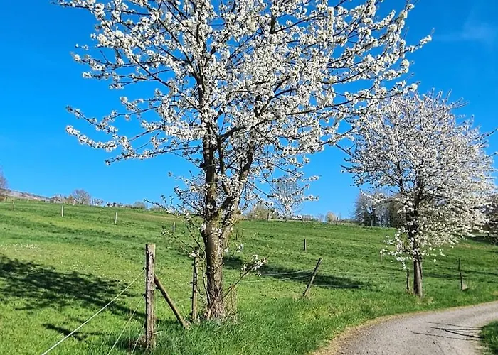 Rengerter Oase アパート Neunkirchen